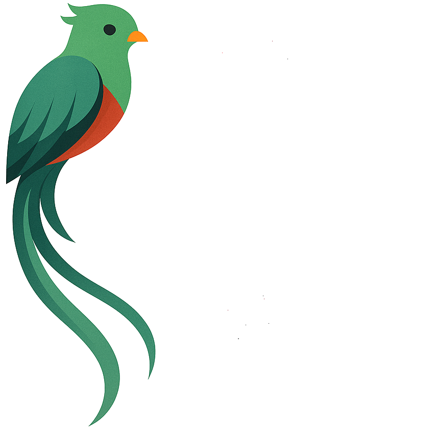 Quetzal Digital – Technical digital marketing consulting